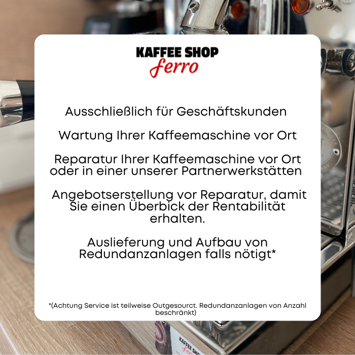 Reparatur von Kaffeemaschinen (2)