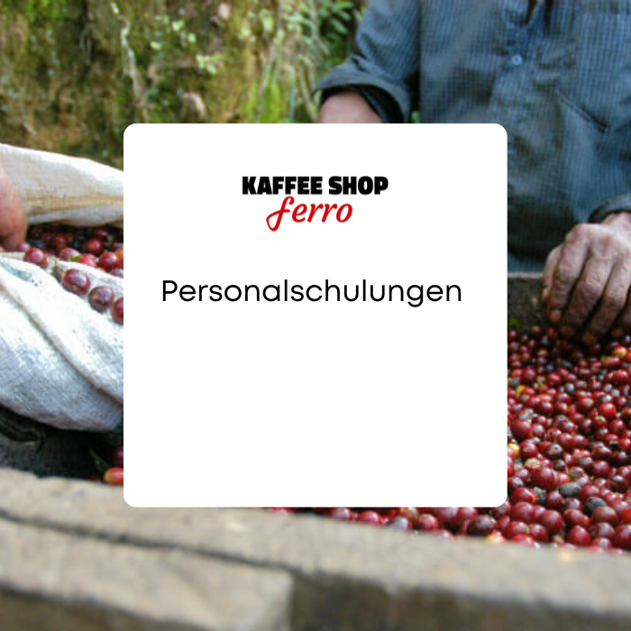 Reparatur von Kaffeemaschinen (3)