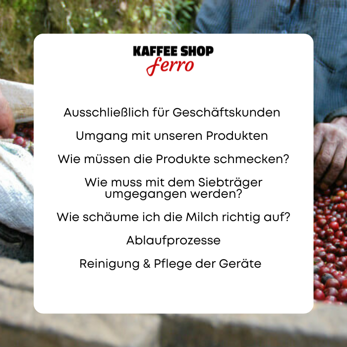 Reparatur von Kaffeemaschinen (4)
