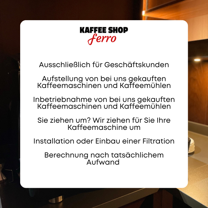 Reparatur von Kaffeemaschinen (4)