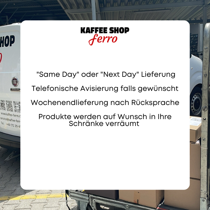 Reparatur von Kaffeemaschinen (6)