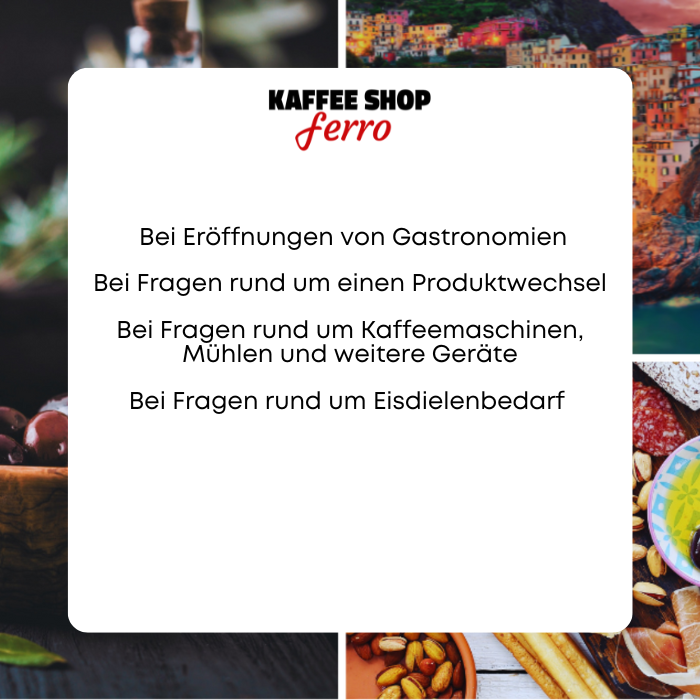 Reparatur von Kaffeemaschinen (8)